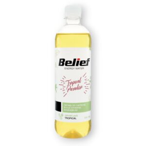 Troopliste viljade maitseline madala kalorsusega jook 530ml