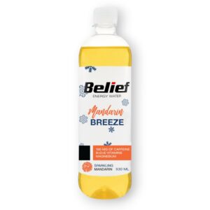 Mandariini maitseline madala kalorsusega gaseeritud jook 530ml